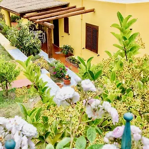 Il Veliero Blu Centro Italia